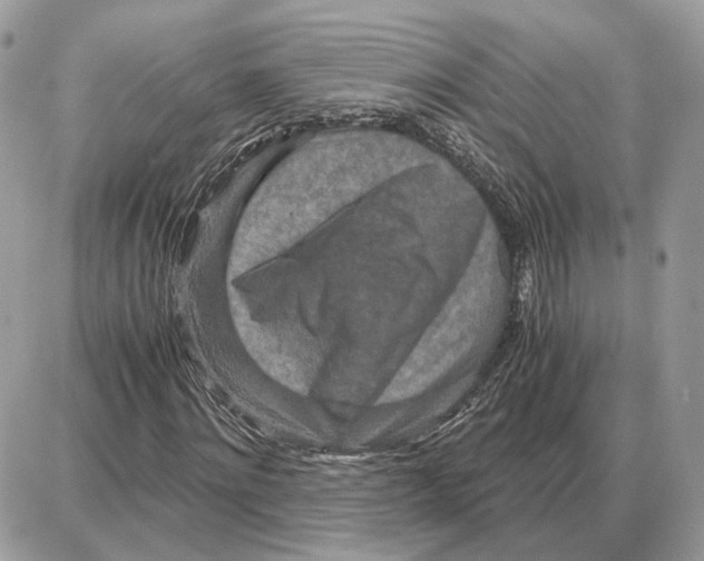 X0000087690868200706011717