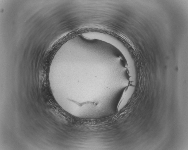 X0000087690872200706011717