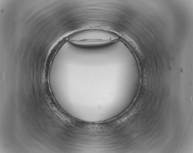 X0000087690880200706011716