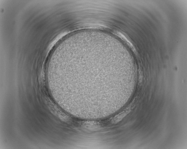 X0000087690883200706011716