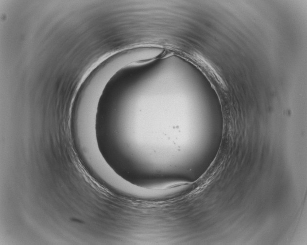 X0000087690884200706011716