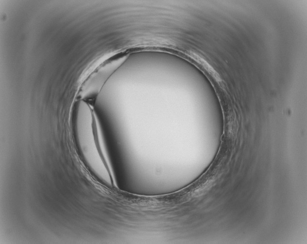 X0000087690885200706011716