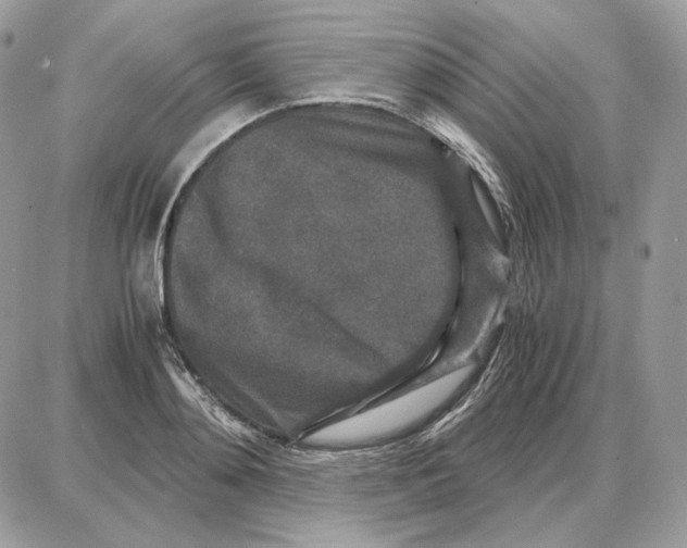 X0000087690892200706011716