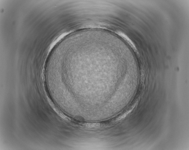 X0000087690893200706011716