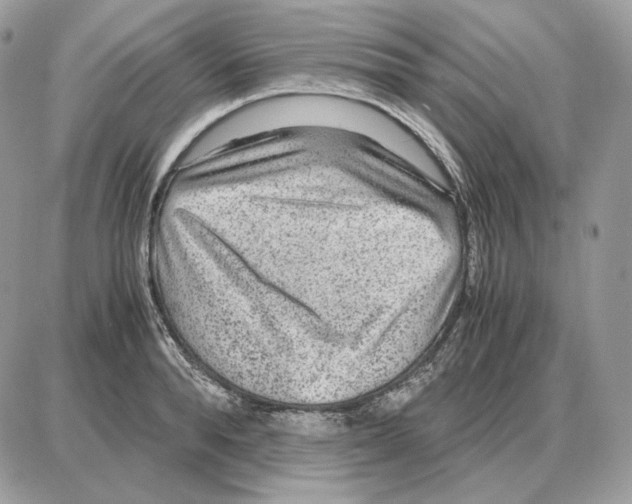 X0000087690896200706011716