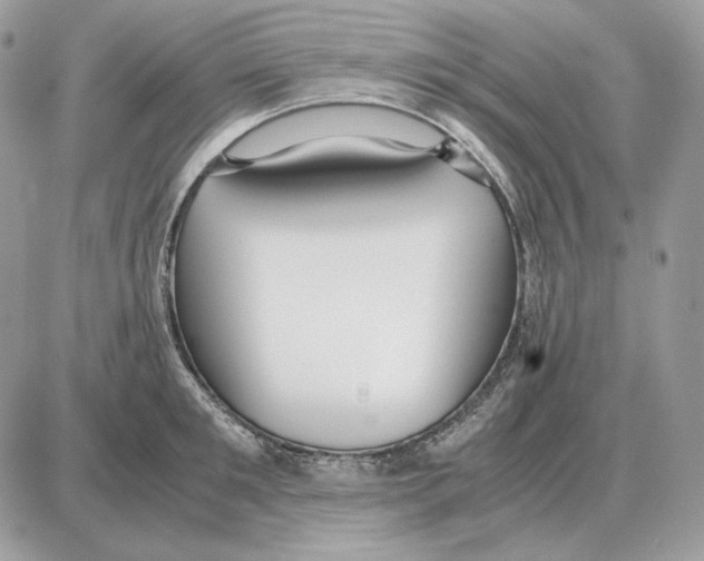 X0000087690901200706011716