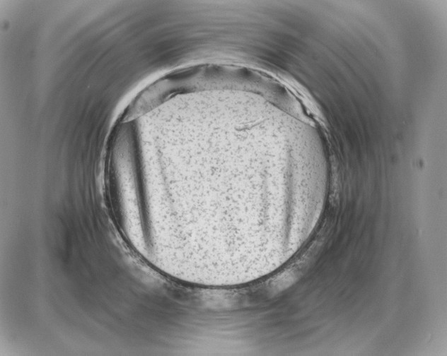 X0000087690904200706011716