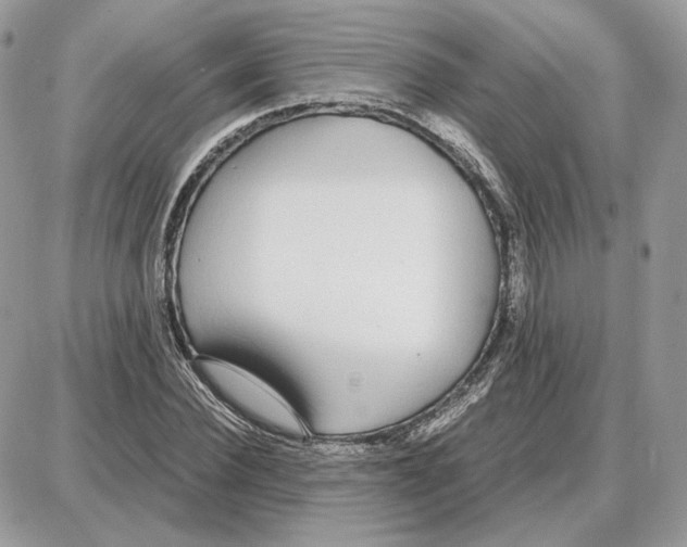 X0000087690924200706011715