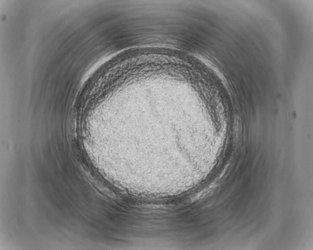X0000087690925200706011715