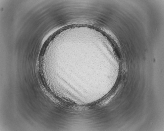 X0000087690928200706011715