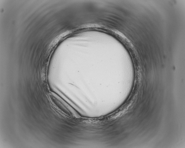 X0000087690929200706011715