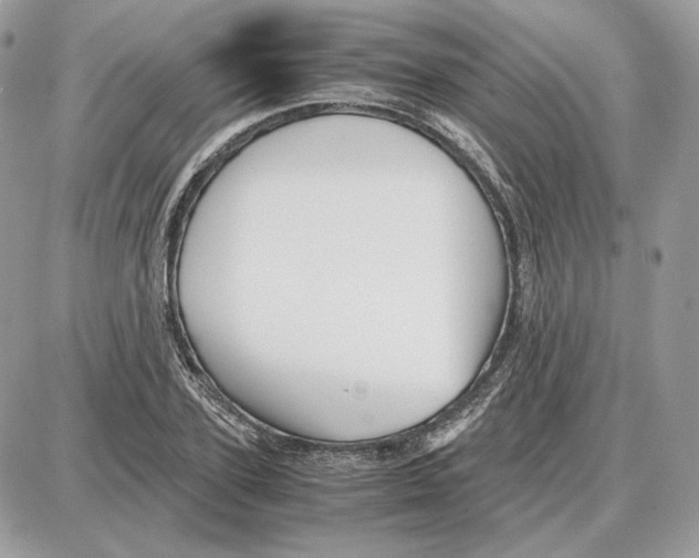 X0000087690931200706011715
