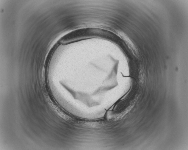 X0000087690932200706011715