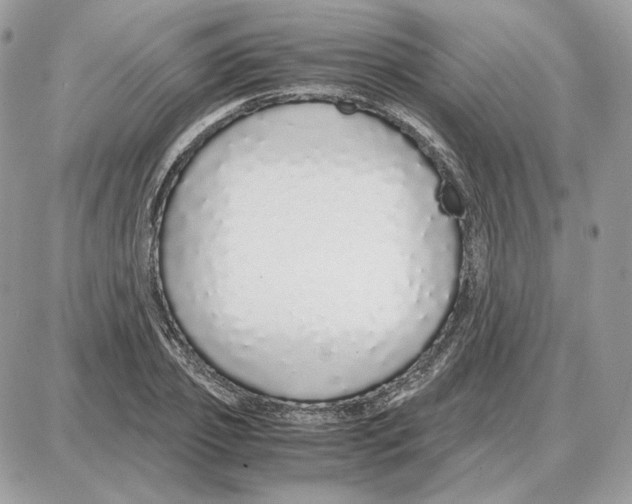 X0000087690933200706011715