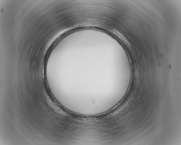 X0000087690934200706011715