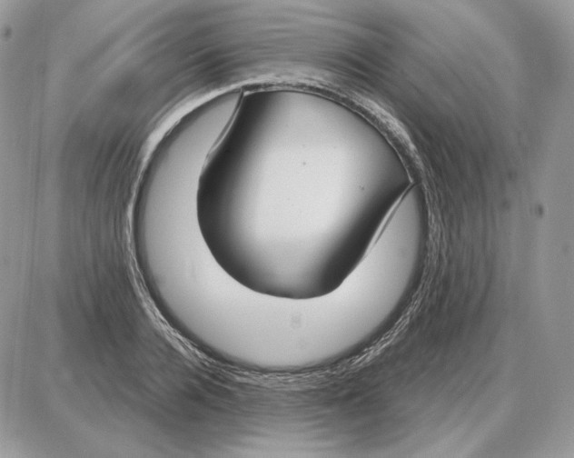 X0000087690936200706011715