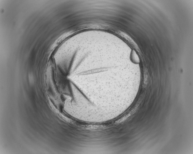 X0000087690938200706011715