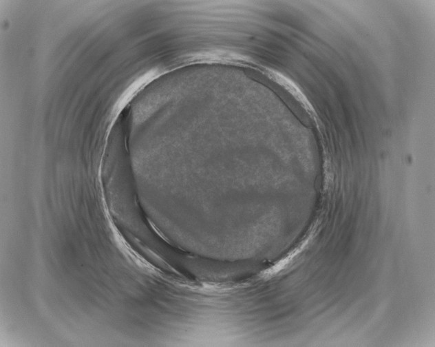 X0000087690946200706011716