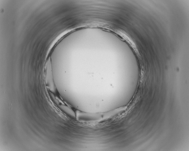 X0000087690948200706011716