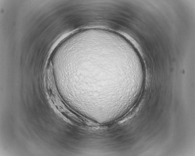 X0000087690949200706011716