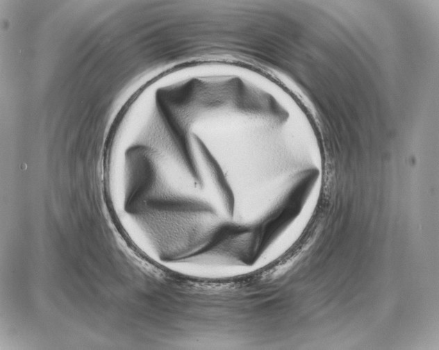 X0000087690951200706011716