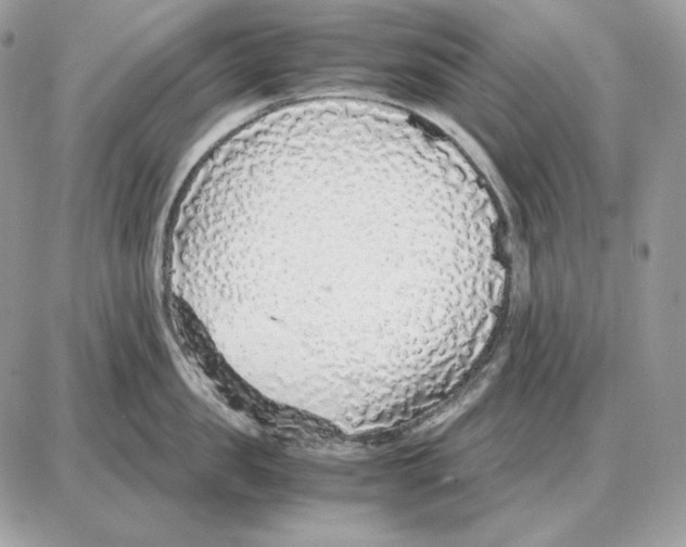 X0000087690957200706011716