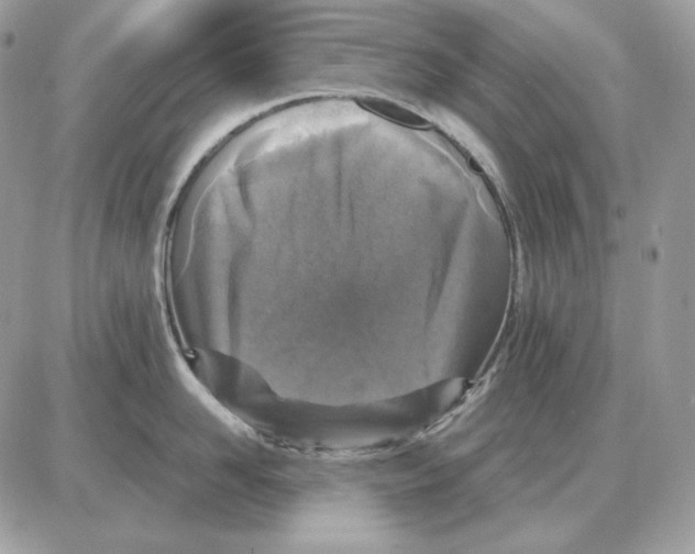 X0000087690958200706011716