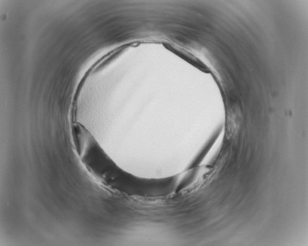 X0000087690959200706011716