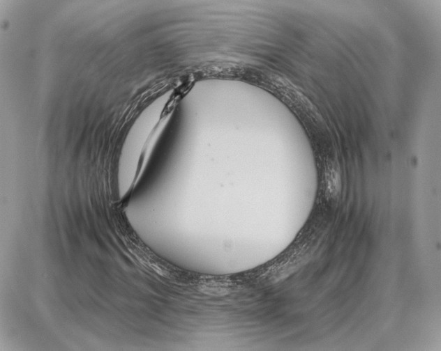 X0000087690964200706011715