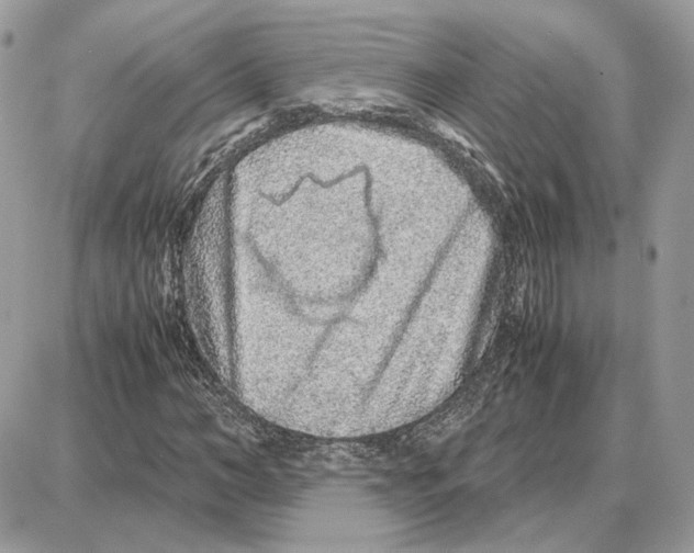 X0000087690966200706011715