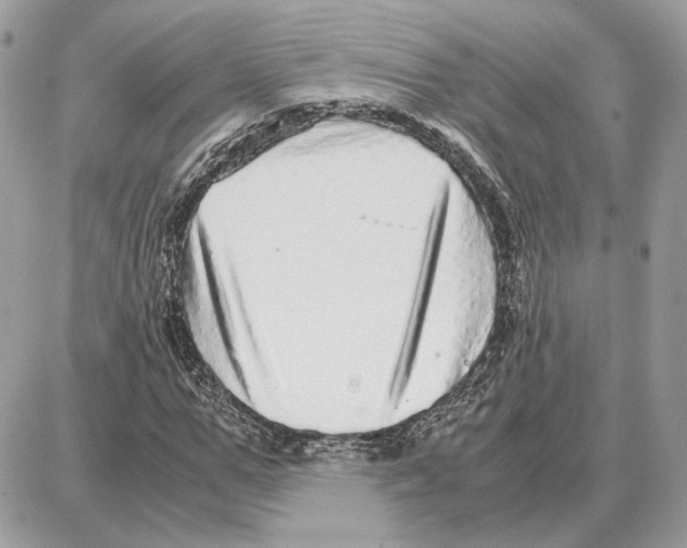 X0000087690967200706011715