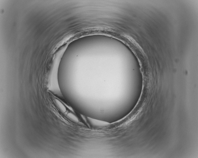 X0000087690969200706011715