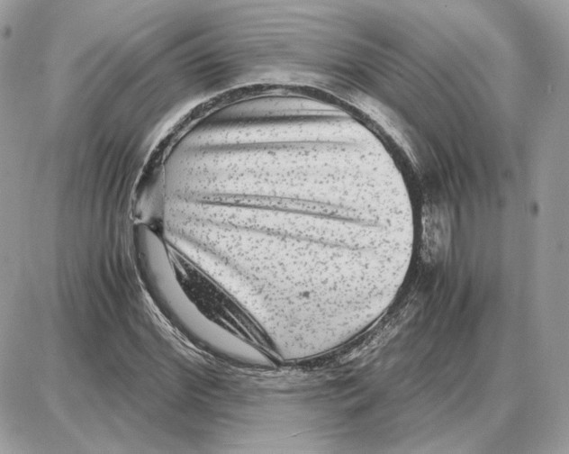 X0000087690972200706011715
