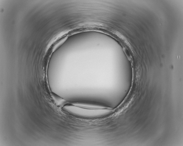 X0000087690973200706011715