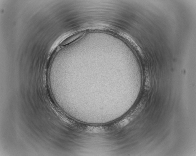 X0000087690978200706011715