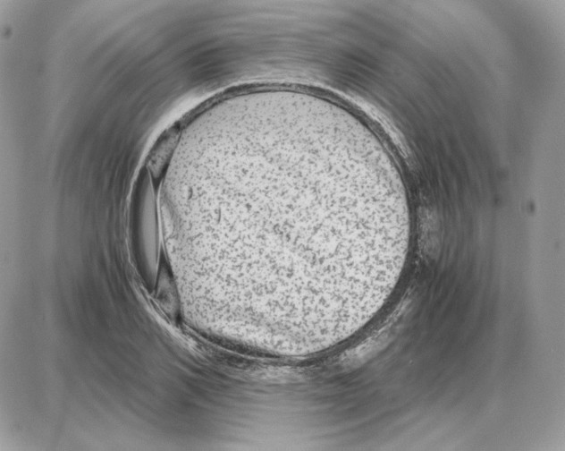X0000087690982200706011715