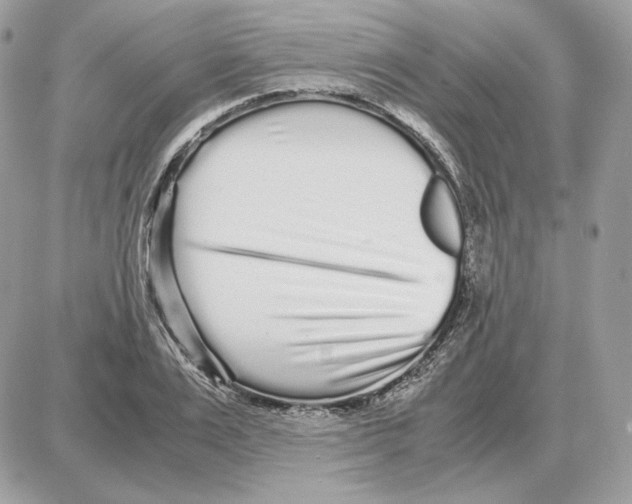 X0000087690983200706011715