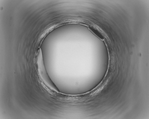 X0000087690985200706011715