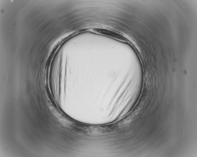 X0000087690987200706011715