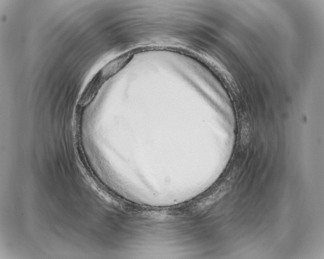 X0000087690990200706011715
