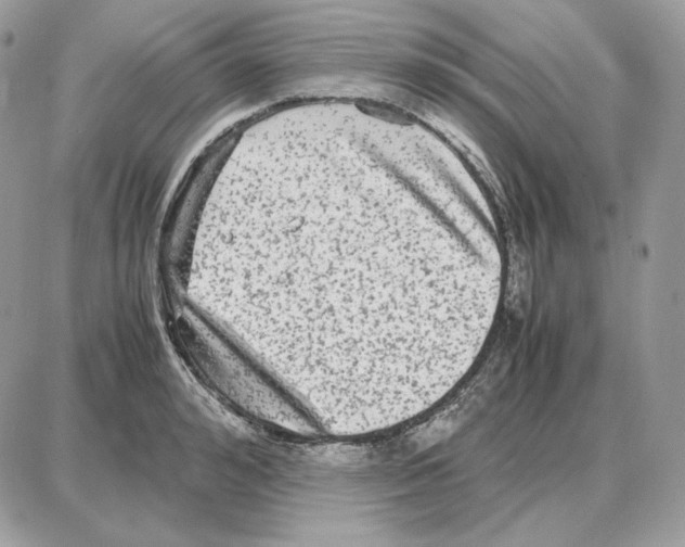 X0000087690992200706011715