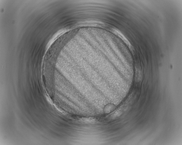 X0000087690994200706011715