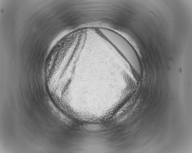 X0000087690998200706011714