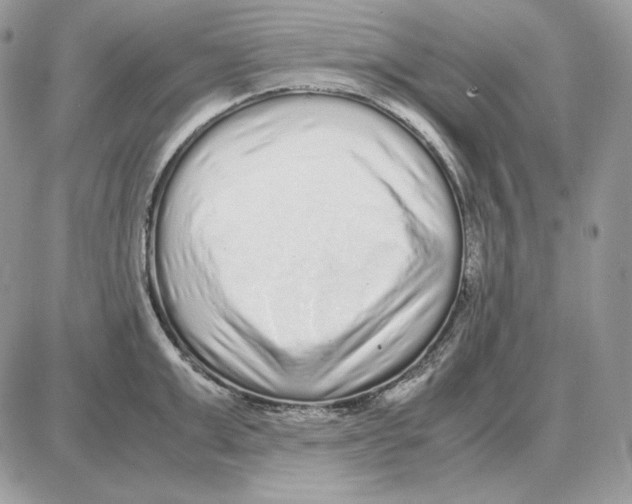 X0000087690999200706011714
