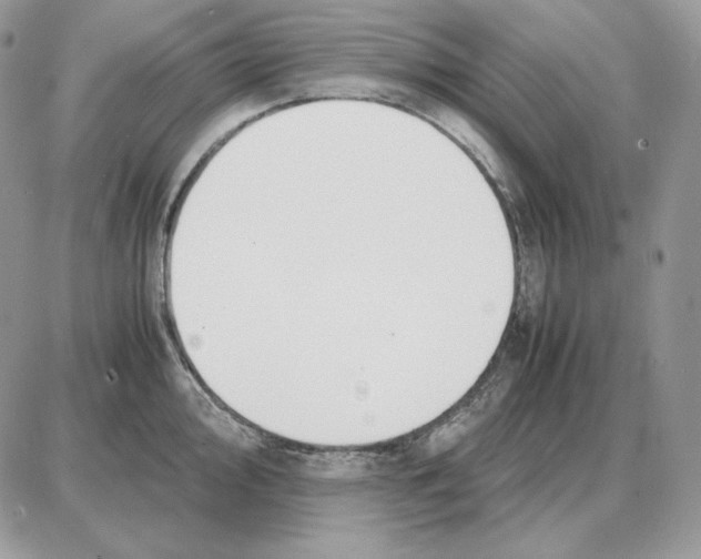 X0000087691000200706011714