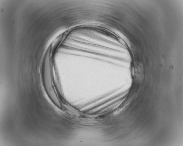 X0000087691007200706011714
