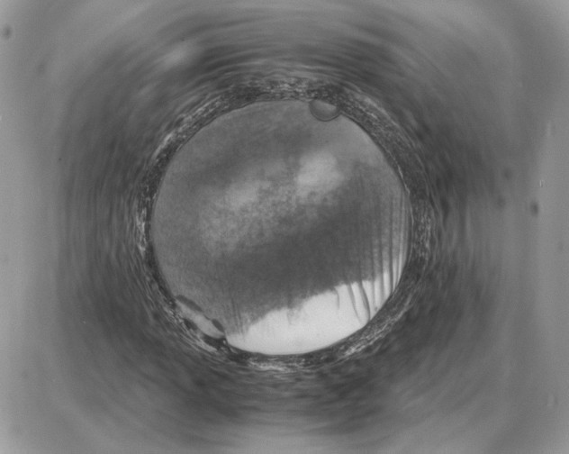 X0000087691013200706011714