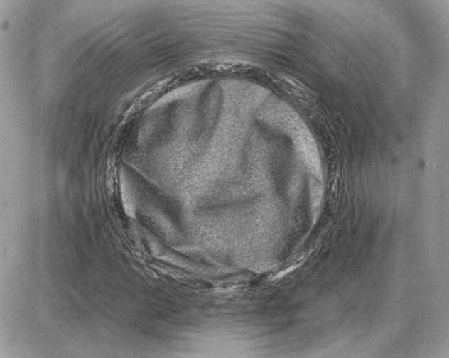X0000087691014200706011714