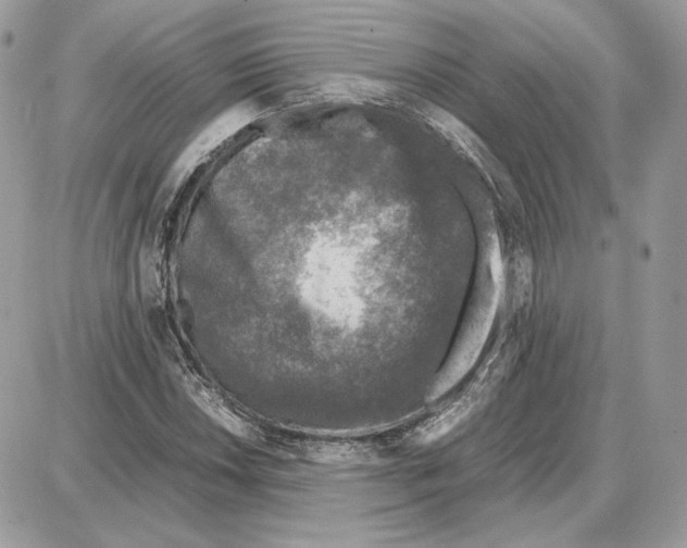 X0000087691018200706011714