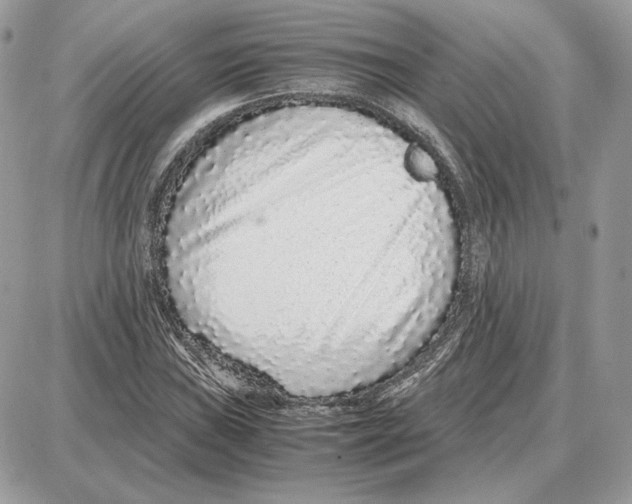 X0000087691019200706011714